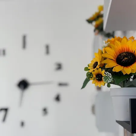Апартаменти Sunflower Center Ольбія