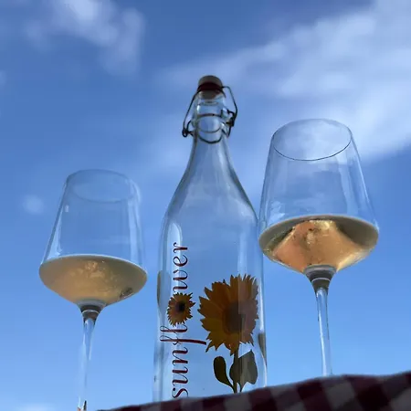 Апартаменти Sunflower Center *